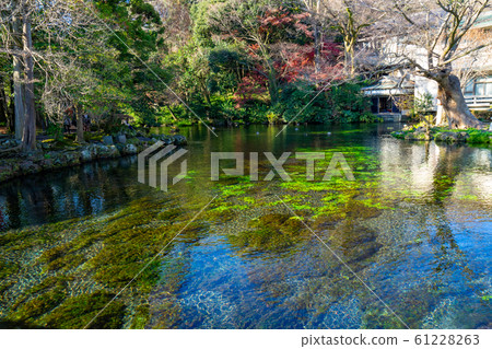 Yudama Pond <Mt.Fuji Motomiya Asama Taisha Fujinomiya City, Shizuoka Prefecture> Yudama Pond <Mt.Fuji Motomiya Asama Taisha Fujinomiya City, Shizuoka Prefecture> 61228263