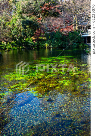 Wakutama Pond <山 61229070