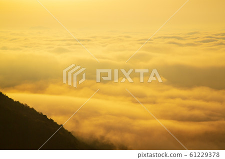 雲海從野山H卷天文台傳播 雲海從野山H卷天文台傳播 61229378