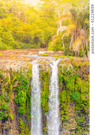 Chamarel Waterfall in lush tropical greenery of Mauritius, Indian Ocean 61229699