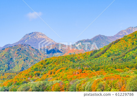 Sasagamine Highland / Autumn 61229786