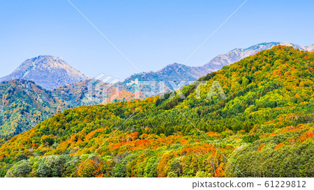 Sasagamine Highland / Autumn 61229812