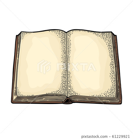 Open book isolated on white background. Vector - Stock Illustration ...
