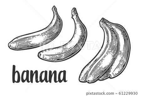 Two single and bunches of fresh banana Two single and bunches of fresh banana 61229930