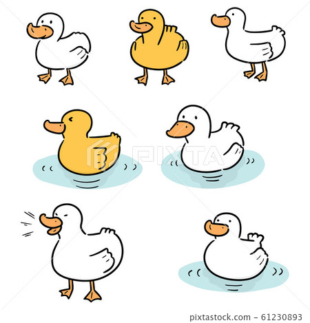 vector set of duck - Stock Illustration [61230893] - PIXTA