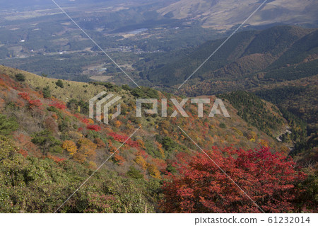 大分地區和秋葉從山 61232014