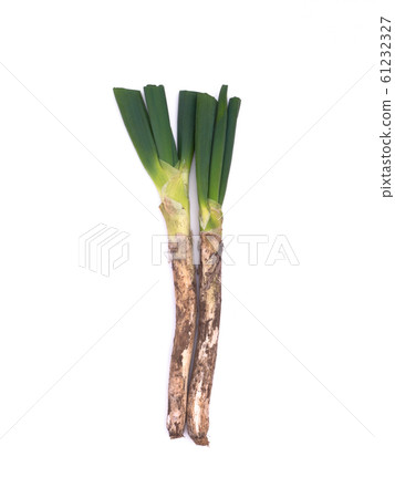 Joshu leek 61232327