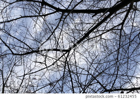 Winter under the cold sky Winter under the cold sky 61232455