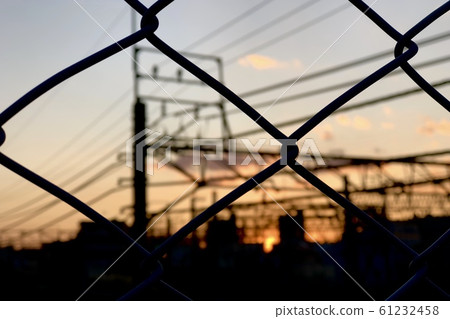 Evening wire mesh fence 61232458