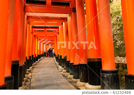 京都伏見稻荷神社的Senbon torii 61232489