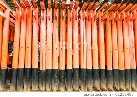 Senbon torii of Kyoto Fushimi Inari Shrine Senbon torii of Kyoto Fushimi Inari Shrine 61232493