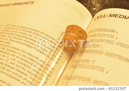 Research paper | Scene Research paper | Scene 61232597