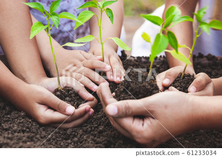Children and parent holding young tree in hands for planting in black soil together 61233034