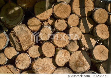 Background of dry chopped firewood logs Background of dry chopped firewood logs 61233540