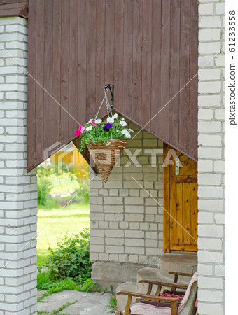 Well decoration petunias in pots 61233558