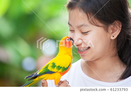 Beautiful parrot birds standing on woman hand. Asian teenager girl play with her pet parrot bird  61233793