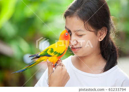 Beautiful parrot birds standing on woman hand. Asian teenager girl play with her pet parrot bird  61233794