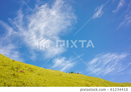 green grassland under blue sky green grassland under blue sky 61234418