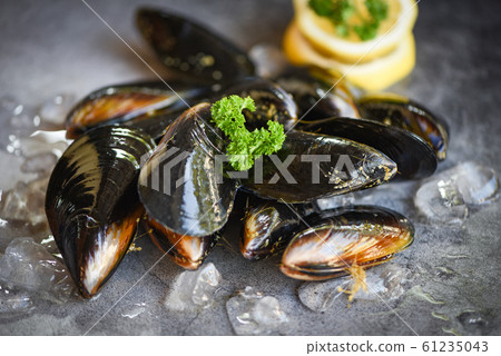 Raw Mussels with herbs lemon and dark plate Raw Mussels with herbs lemon and dark plate 61235043