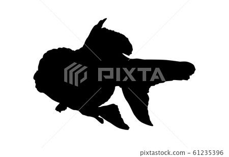 Animal silhouette pet goldfish 7 Animal silhouette pet goldfish 7 61235396