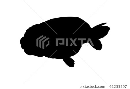 Animal silhouette pet goldfish 8 Animal silhouette pet goldfish 8 61235397