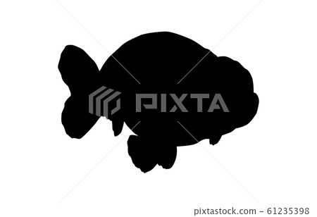 Animal silhouette pet goldfish 9 Animal silhouette pet goldfish 9 61235398