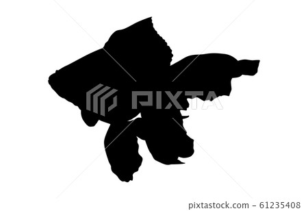 Animal silhouette pet goldfish 3 Animal silhouette pet goldfish 3 61235408