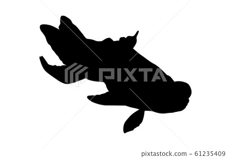 Animal silhouette pet goldfish 4 Animal silhouette pet goldfish 4 61235409