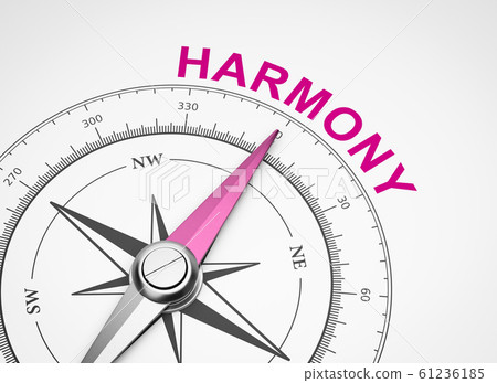 Compass on White Background, Harmony Concept Compass on White Background, Harmony Concept 61236185