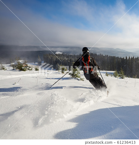 Male skier freeriding on wide open mountain slope. Skiing down between fir trees. Extreme, activity, thrill concept. Male skier freeriding on wide open mountain slope. Skiing down between fir trees. Extreme, activity, thrill concept. 61236413