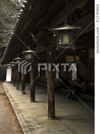Lantern  61236668