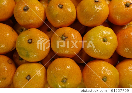 Mandarin orange 61237709