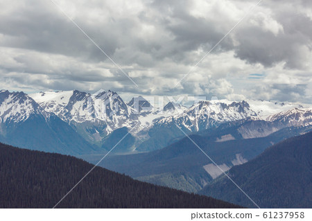 Mountains in Washington 61237958