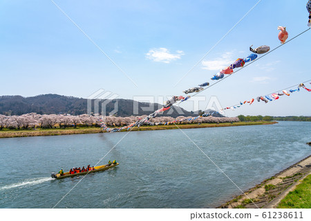 Kitakami Exhibition Sachichi Sakura Festival Cherry blossoms in full bloom Spring Pleasure sightseeing boat Sightseeing spots Nature Blue skies Sunny Colorful Tohoku region Kitakami Exhibition Sachichi Sakura Festival Cherry blossoms in full bloom Spring Pleasure sightseeing boat Sightseeing spots Nature Blue skies Sunny Colorful Tohoku region 61238611