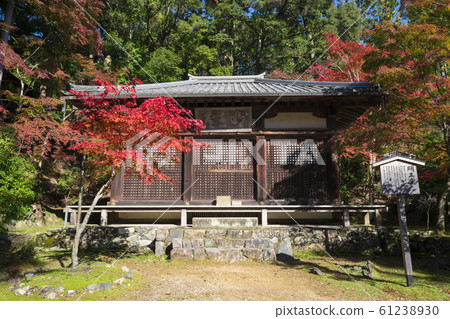 Kyoto Myo-do and colored leaves of Jingoji Temple 61238930