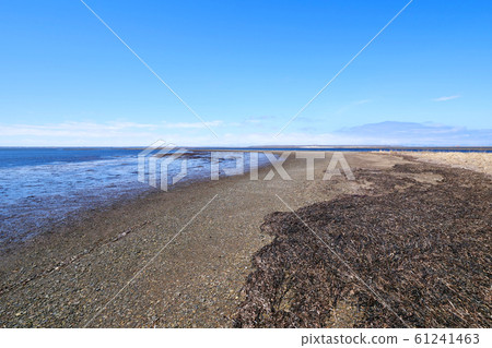 Hokkaido Noden peninsula Todoara Hokkaido Noden peninsula Todoara 61241463