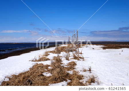 Hokkaido Noden peninsula Todoara Hokkaido Noden peninsula Todoara 61241565