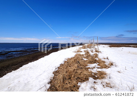 Hokkaido Noden peninsula Todoara Hokkaido Noden peninsula Todoara 61241872