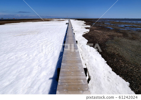 Hokkaido Noden peninsula Todoara Hokkaido Noden peninsula Todoara 61242024