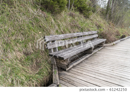 Empty old wooden bench at a park 61242250