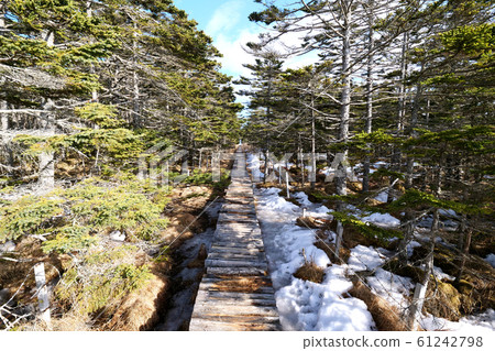北海道大石岬 北海道大石岬 61242798