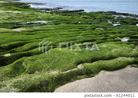 老梅石槽 61244011