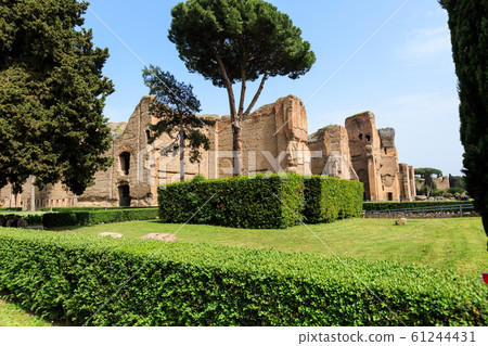 Scenic view of Terme di Caracalla in Rome. Umbrella pines in vast around ruins 61244431