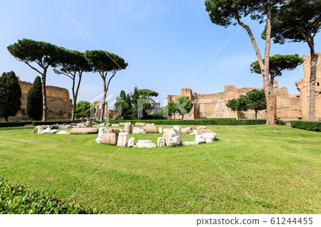 picturesque view of Terme di Caracalla in Rome. Umbrella pines in vast near ruin picturesque view of Terme di Caracalla in Rome. Umbrella pines in vast near ruin 61244455