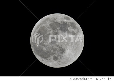 1st day of 2020 Age 15.24 19:50 1st day of 2020 Age 15.24 19:50 61244916