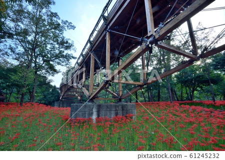 Take a picture of Aiai Bridge in Kinchakuda, Hidaka City, where red Manju Saka bloomed in the early autumn morning. Take a picture of Aiai Bridge in Kinchakuda, Hidaka City, where red Manju Saka bloomed in the early autumn morning. 61245232