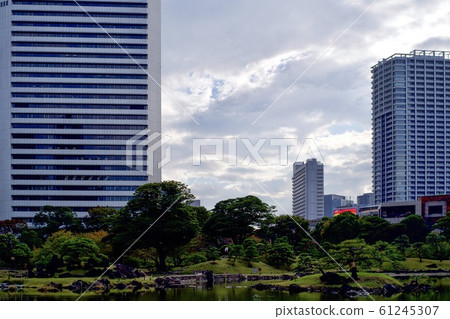 城市花園的夜景 61245307