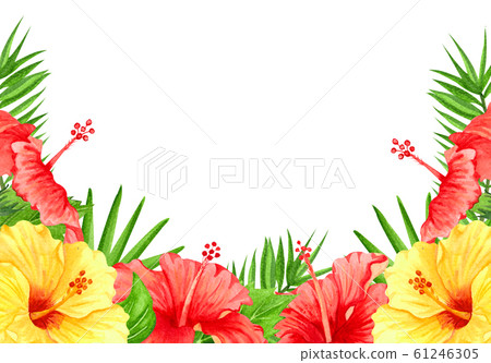 Watercolor frame with red and yellow hibiscus flowers. Hand drawn floral border with tropical flowers and leaves. Wedding invitation, greeting card, design. Summer flowers. Watercolor frame with red and yellow hibiscus flowers. Hand drawn floral border with tropical flowers and leaves. Wedding invitation, greeting card, design. Summer flowers. 61246305