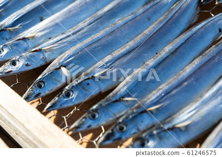 Dried sword fish 61246575