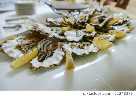 Fresh open oyster on a white plate. in the restaurant appetizer 61248376